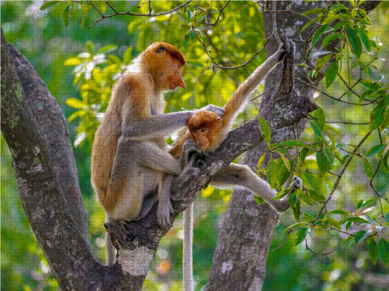 Mama betreibt Fellpflege bei ihrem Nachwuchs - CALVENDO Foto-Puzzle - calvendoverlag 29.99