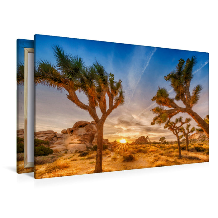 Premium Textil-Leinwand Premium Textil-Leinwand 120 cm x 80 cm quer Herrlicher Sonnenuntergang im Joshua Tree National Park