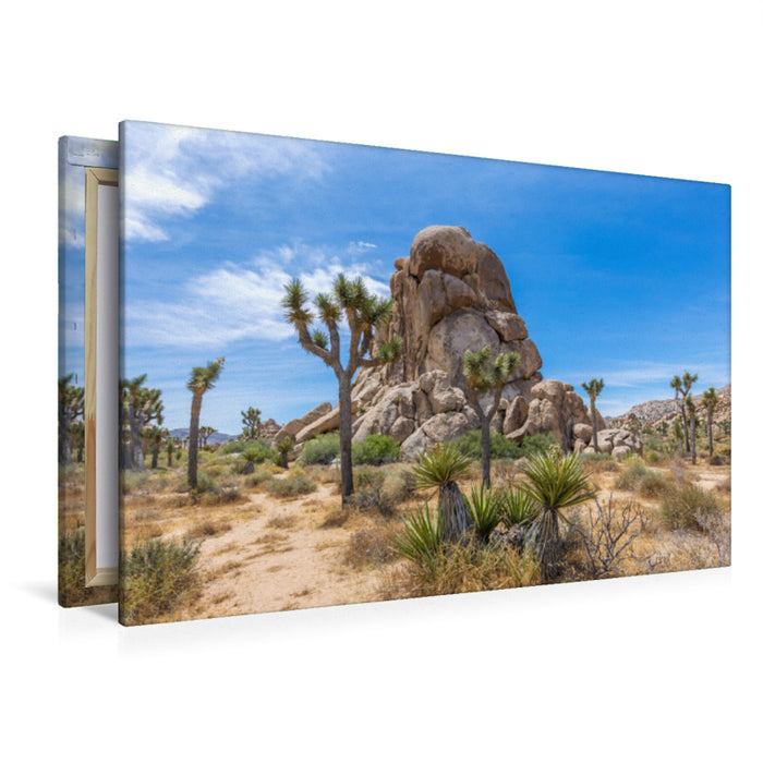 Premium Textil-Leinwand Premium Textil-Leinwand 120 cm x 80 cm quer Roadside Rock, Joshua Tree National Park