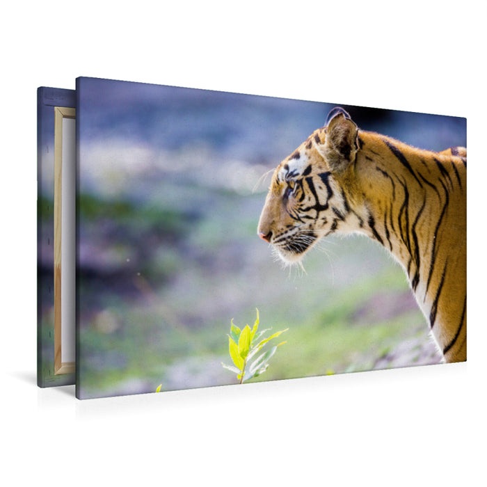 Premium Textil-Leinwand Premium Textil-Leinwand 120 cm x 80 cm quer Ein Tiger macht nur bei jedem zehnten Versuch Beute.