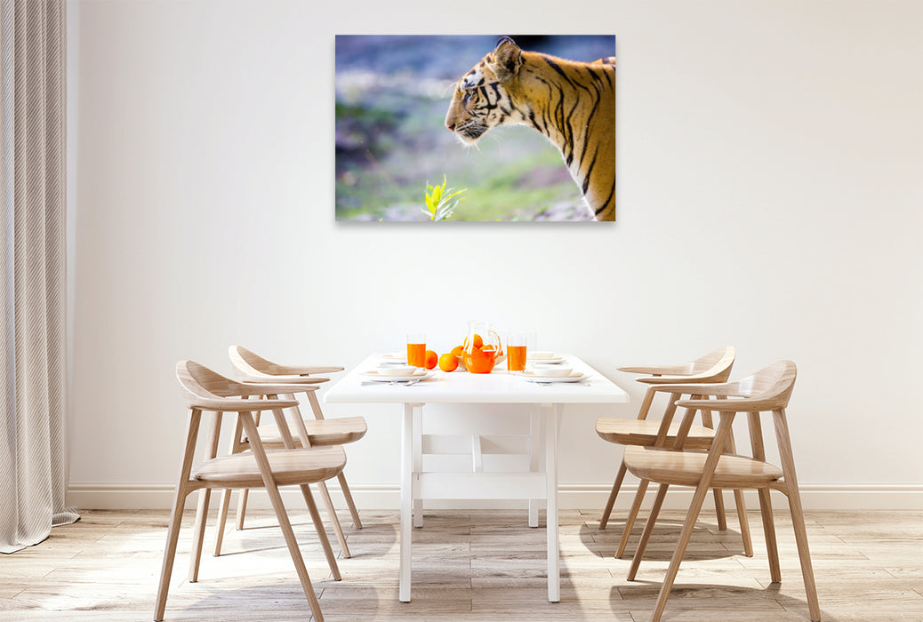 Premium Textil-Leinwand Premium Textil-Leinwand 120 cm x 80 cm quer Ein Tiger macht nur bei jedem zehnten Versuch Beute.