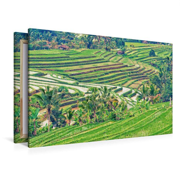 Premium Textil-Leinwand Premium Textil-Leinwand 120 cm x 80 cm quer Reisterrassen Bali