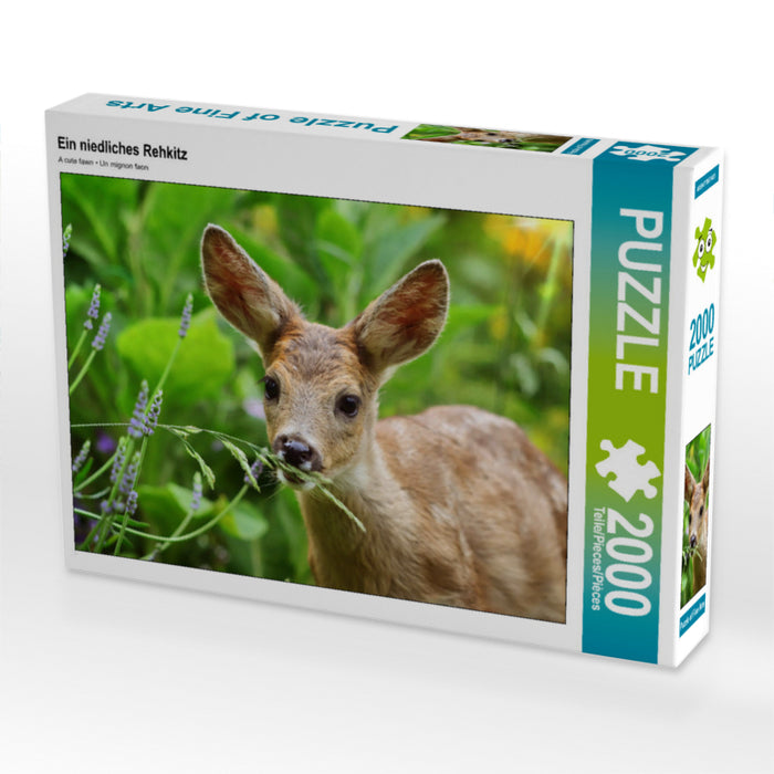 A cute deer fawn - CALVENDO photo puzzle 