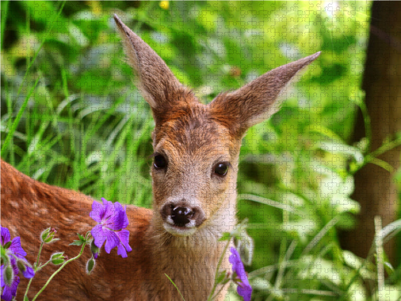 Rehkitz mit lila Blüten - CALVENDO Foto-Puzzle - calvendoverlag 29.99