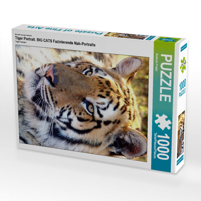 Tiger Portrait. Ein Motiv aus dem Kalender BIG CATS Fazinierende Nah-Portraits - CALVENDO Foto-Puzzle - calvendoverlag 29.99