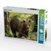 Braunbär - Slowenien - CALVENDO Foto-Puzzle - calvendoverlag 29.99