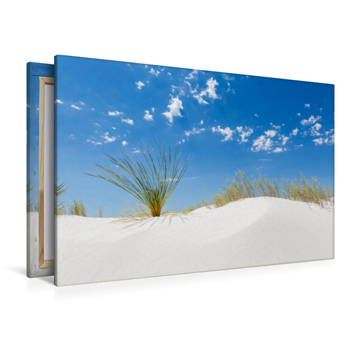 Premium Textil-Leinwand Premium Textil-Leinwand 120 cm x 80 cm quer White Sands Impression