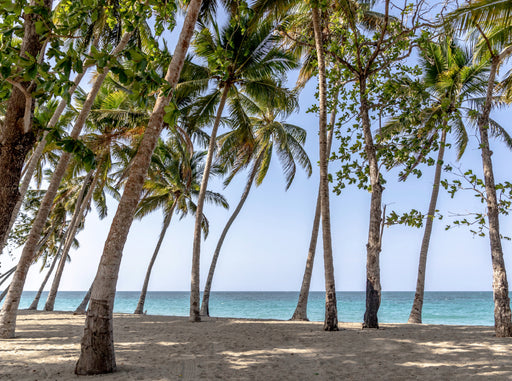 Playa Rogelio - CALVENDO Foto-Puzzle - calvendoverlag 39.99