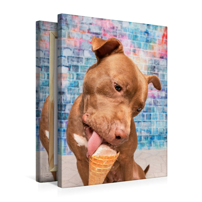 Premium Textil-Leinwand Premium Textil-Leinwand 50 cm x 75 cm hoch Auch ein Pitbull liebt Eis