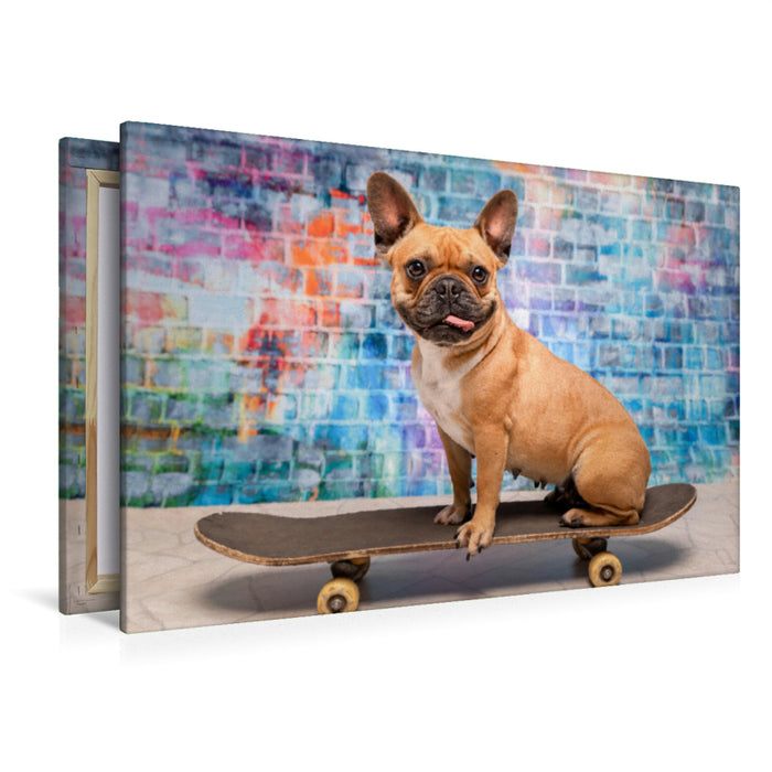 Premium Textil-Leinwand Premium Textil-Leinwand 120 cm x 80 cm quer Franz. Bulldogge auf Skateboard