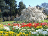 Tulpenblüte im Sichtungsgarten Hermannshof in Weinheim an der Bergstraße - CALVENDO Foto-Puzzle - calvendoverlag 29.99