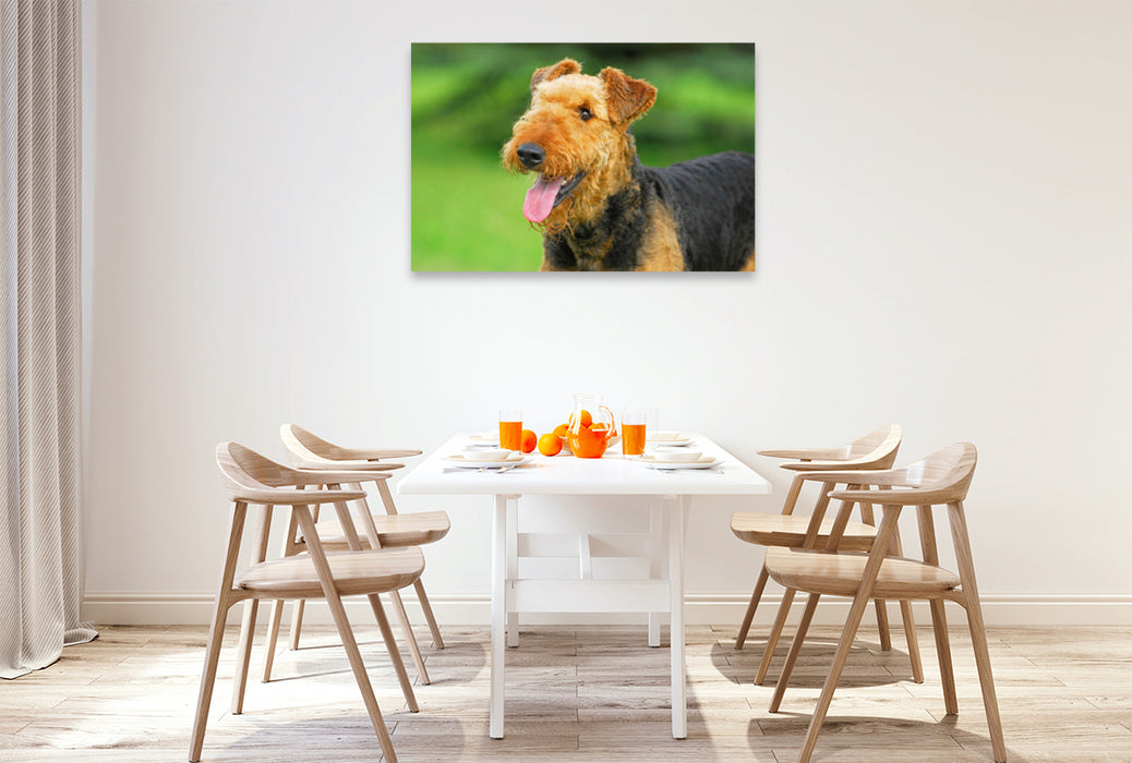 Toile textile premium Toile textile premium 120 cm x 80 cm paysage Portrait d'une chienne 
