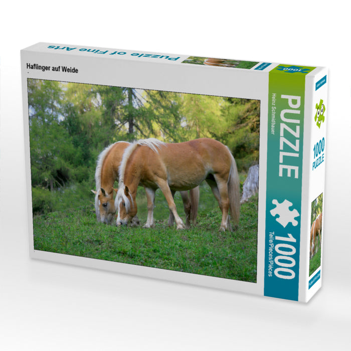 Haflinger auf Weide - CALVENDO Foto-Puzzle - calvendoverlag 29.99