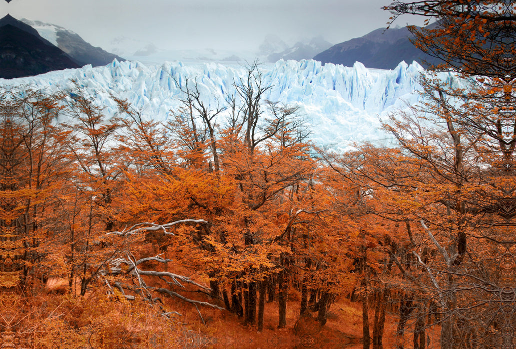 Premium Textil-Leinwand Premium Textil-Leinwand 120 cm x 80 cm quer Glacier Perito Moreno, Parque Nacional Los Glaciares, El Calafate, Patagonia, Argentina