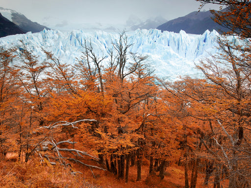 Glacier Perito Moreno, Parque Nacional Los Glaciares, El Calafate, Patagonia, Argentina - CALVENDO Foto-Puzzle - calvendoverlag 29.99