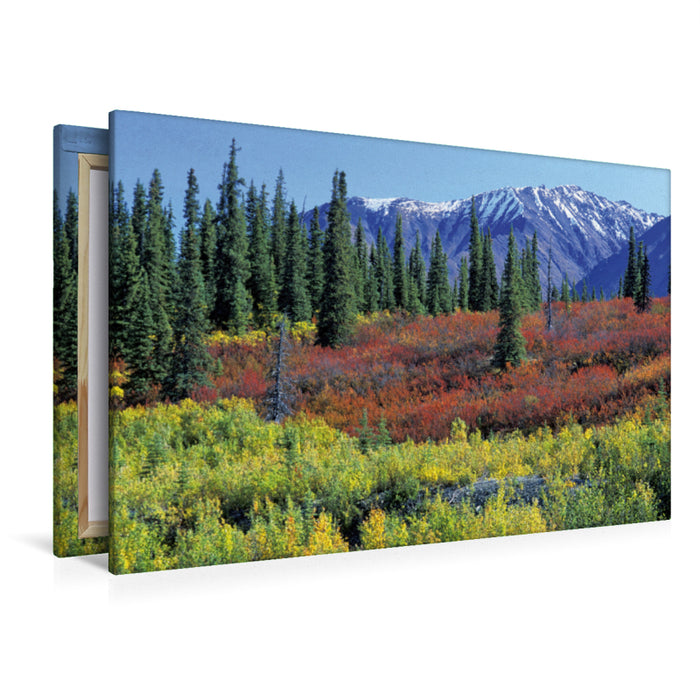 Premium Textil-Leinwand Premium Textil-Leinwand 120 cm x 80 cm quer Herbstfarben entlang des George Parks Highway, Alaska