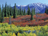 Herbstfarben entlang des George Parks Highway, Alaska - CALVENDO Foto-Puzzle - calvendoverlag 29.99