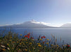 Vulkan Osorno/Chile - CALVENDO Foto-Puzzle - calvendoverlag 29.99