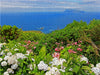 Steilküste mit Blick auf Corvo auf der Azoren-Insel Flores - CALVENDO Foto-Puzzle - calvendoverlag 39.99