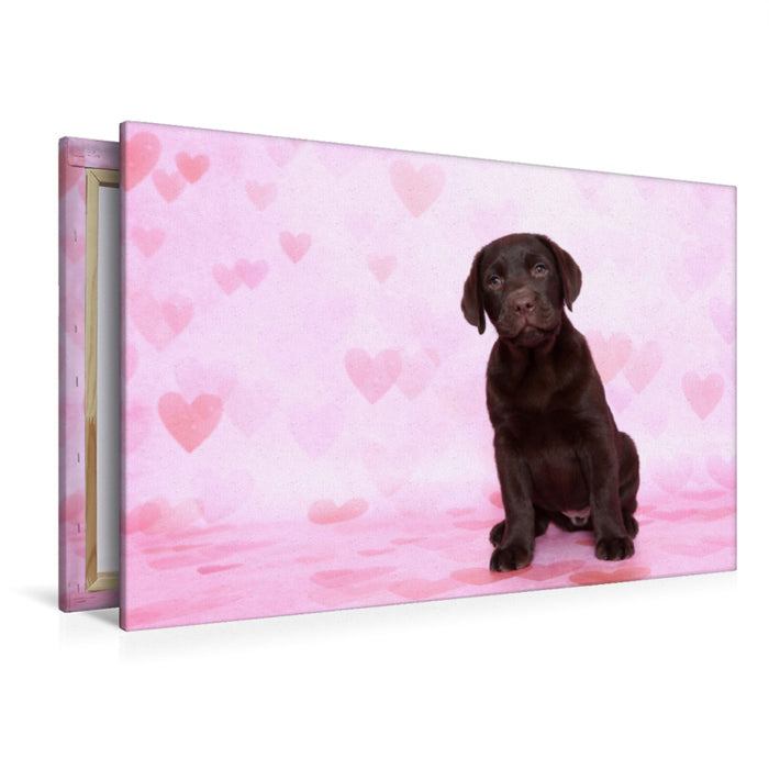 Premium Textil-Leinwand Premium Textil-Leinwand 120 cm x 80 cm quer Labrador Retriever Welpe / Labrador Retriever Puppy