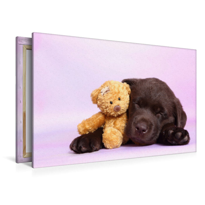 Premium Textil-Leinwand Premium Textil-Leinwand 120 cm x 80 cm quer Labrador Retriever Welpe / Labrador Retriever Puppy