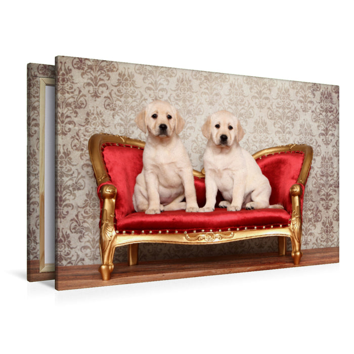 Premium Textil-Leinwand Premium Textil-Leinwand 120 cm x 80 cm quer Labrador Retriever Welpe / Labrador Retriever Puppy