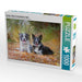 Border Collies im herbstlichen Wald - CALVENDO Foto-Puzzle - calvendoverlag 29.99