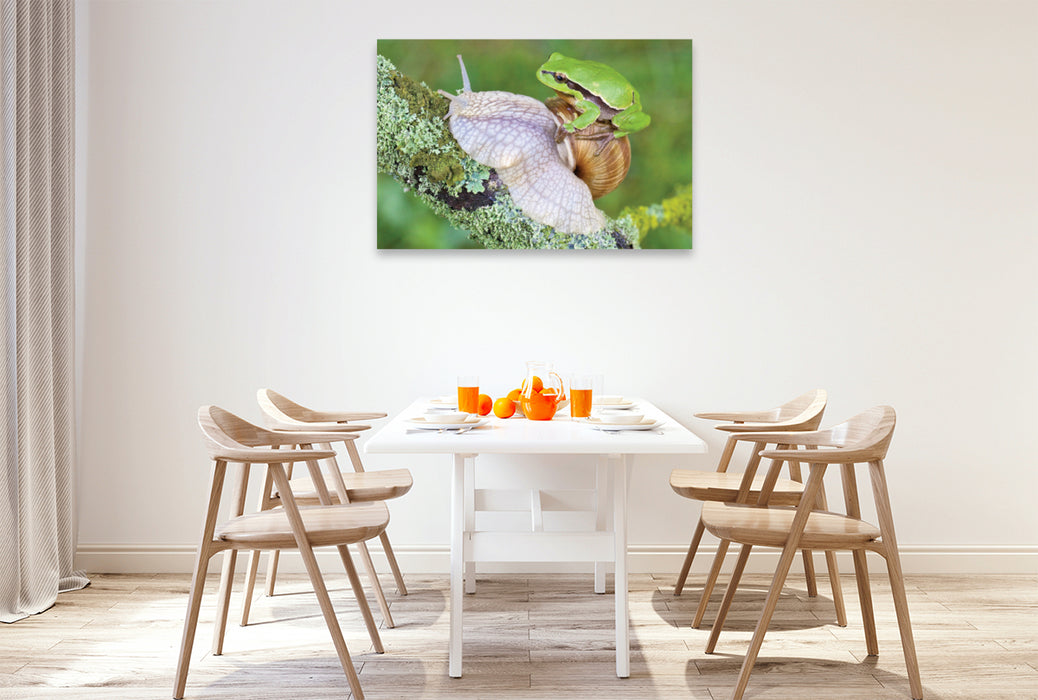 Premium textile canvas Premium textile canvas 120 cm x 80 cm landscape tree frog/vine snail 