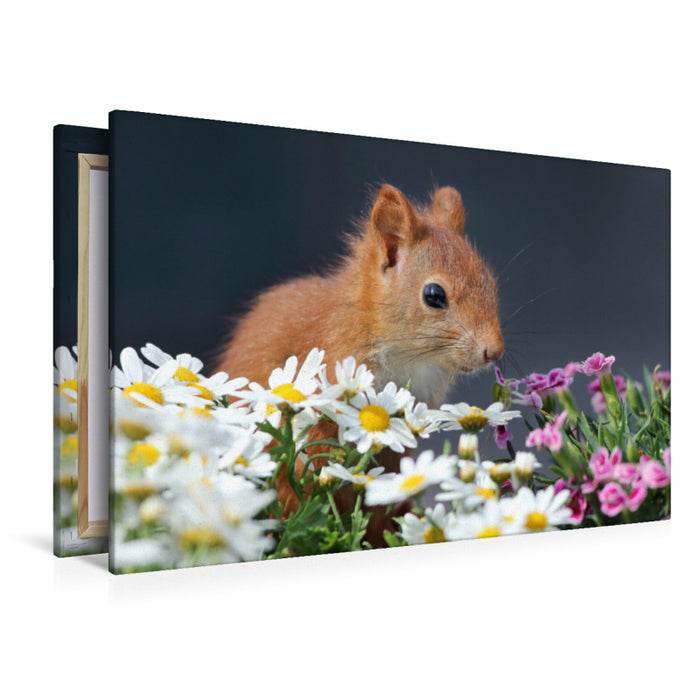 Premium textile canvas Premium textile canvas 120 cm x 80 cm landscape Chibs the flower squirrel 