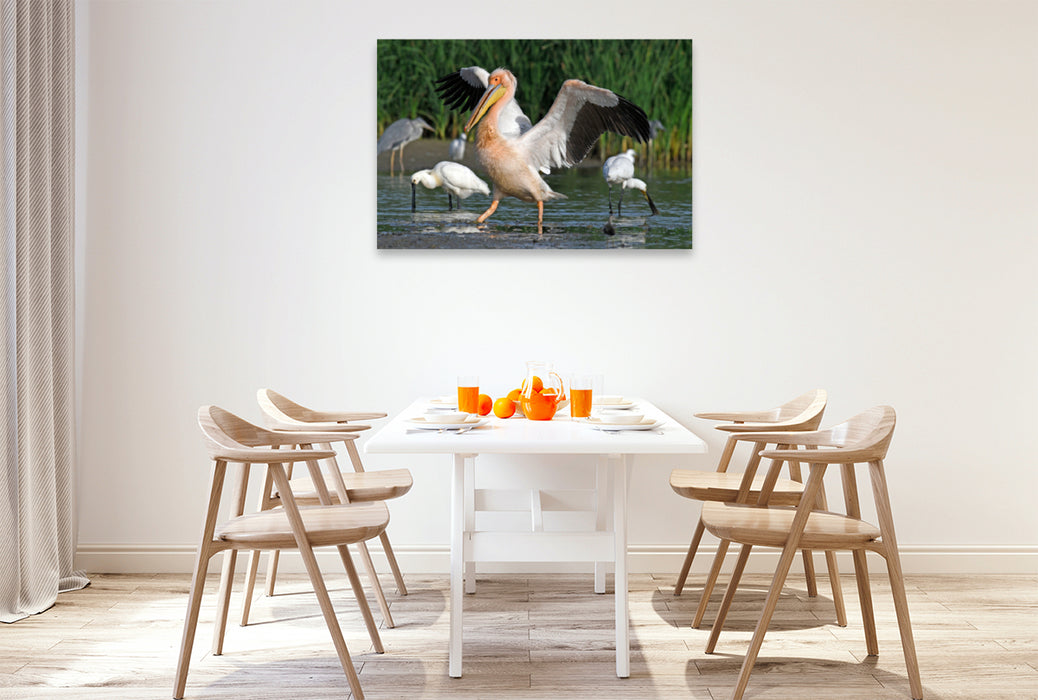 Premium textile canvas Premium textile canvas 120 cm x 80 cm landscape Great White Pelican (Pelecanus onocrotalus) 