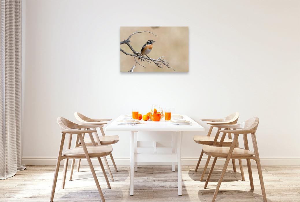 Premium textile canvas Premium textile canvas 90 cm x 60 cm landscape Whinchat (Saxicola rubetra) 