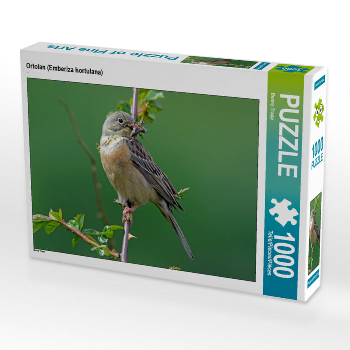 Ortolan (Emberiza hortulana) - CALVENDO Foto-Puzzle - calvendoverlag 29.99