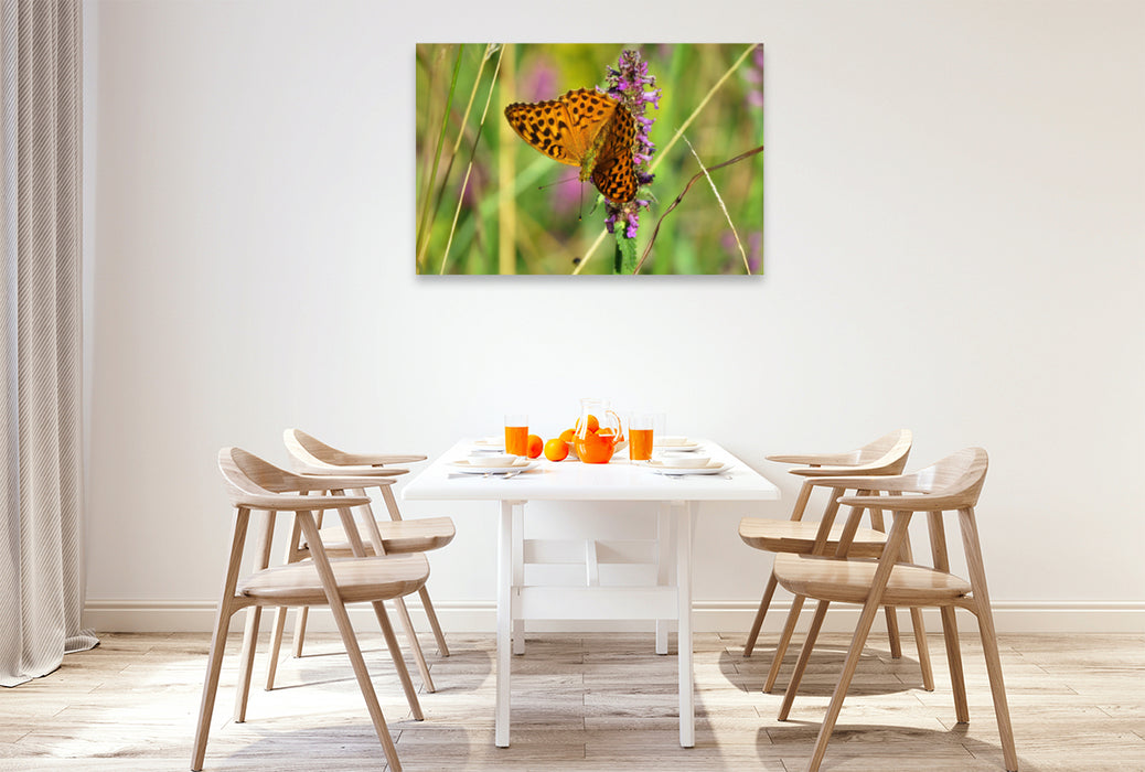 Premium textile canvas Premium textile canvas 120 cm x 80 cm landscape Imperial Mantle / Argynnis paphia 