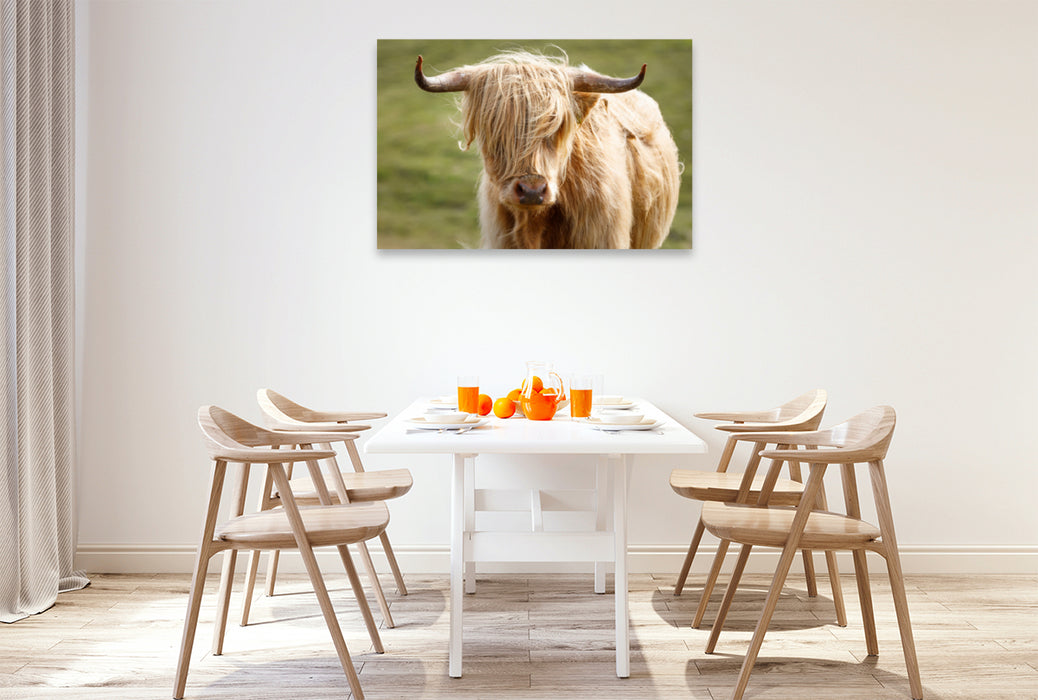Toile textile haut de gamme Toile textile haut de gamme 120 cm x 80 cm paysage vache écossaise des Highlands 