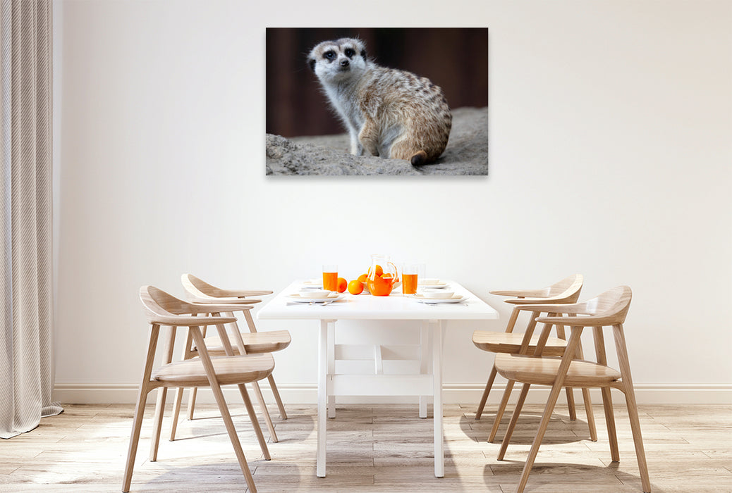 Toile textile haut de gamme Toile textile haut de gamme 120 cm x 80 cm de diamètre Un motif du calendrier Lively Meerkats 