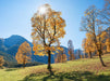 Herbstlandschaft am Ahornboden im Karwendel - CALVENDO Foto-Puzzle - calvendoverlag 29.99