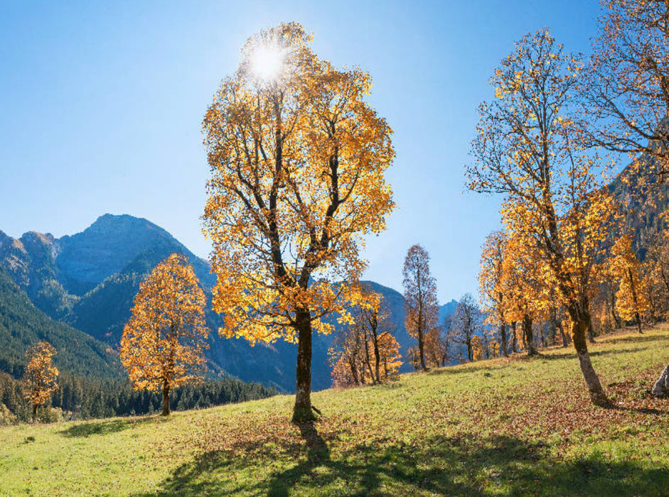 Autumn landscape at Ahornboden in Karwendel - CALVENDO photo puzzle 