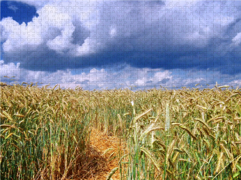 Strohweg durch ein Kornfeld in Germerode - CALVENDO Foto-Puzzle - calvendoverlag 39.99