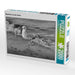 Mantelmöve an der Ostsee - CALVENDO Foto-Puzzle - calvendoverlag 39.99