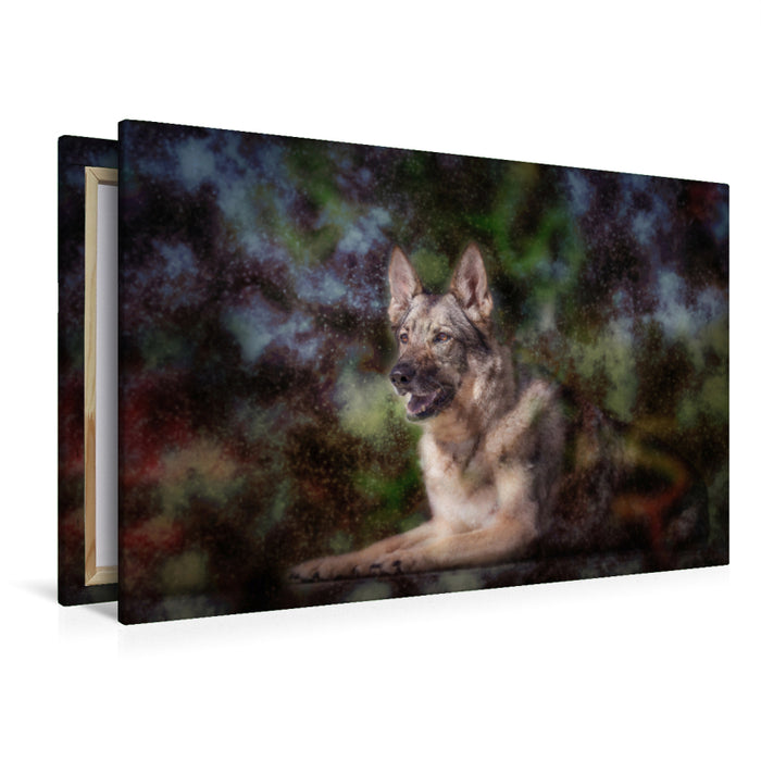 Premium textile canvas Premium textile canvas 120 cm x 80 cm landscape German Shepherd 