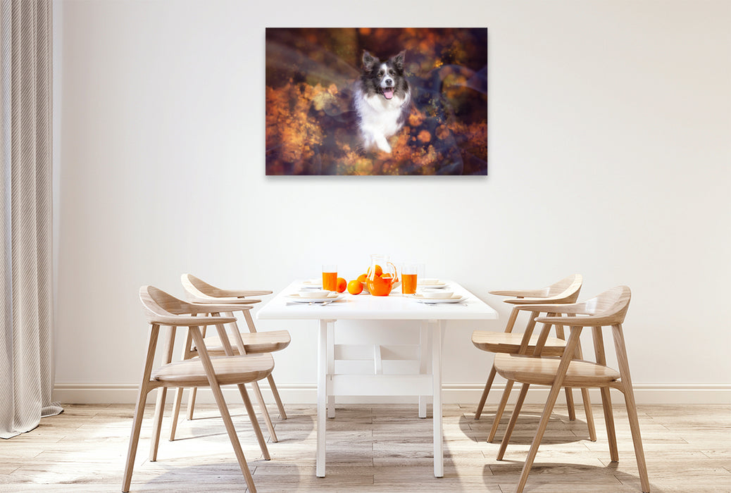 Premium textile canvas Premium textile canvas 120 cm x 80 cm landscape Border Collie 