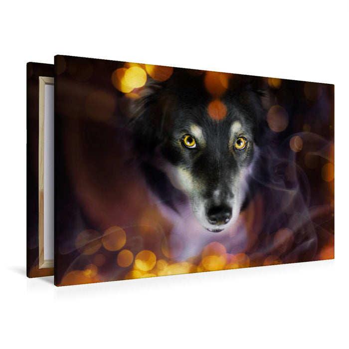 Premium textile canvas Premium textile canvas 120 cm x 80 cm across A motif from the calendar Magical Dogs - dogs that enchant us every day 