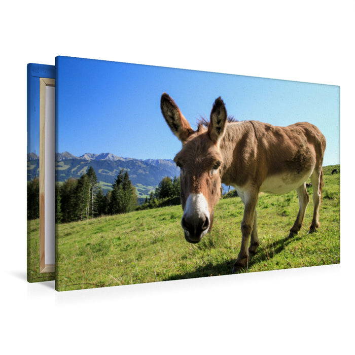 Premium textile canvas Premium textile canvas 120 cm x 80 cm across Donkey at the Hochbichl Hut 