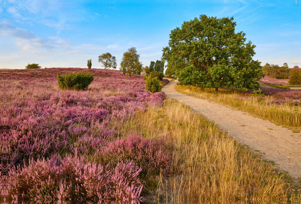 Premium textile canvas Premium textile canvas 120 cm x 80 cm across A motif from the Lower Saxony Nature calendar 