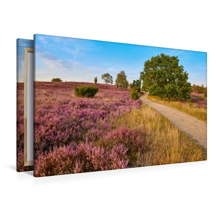 Premium textile canvas Premium textile canvas 120 cm x 80 cm across A motif from the Lower Saxony Nature calendar 