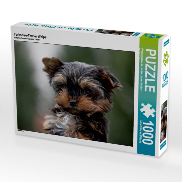 Yorkshire-Terrier Welpe - CALVENDO Foto-Puzzle - calvendoverlag 29.99