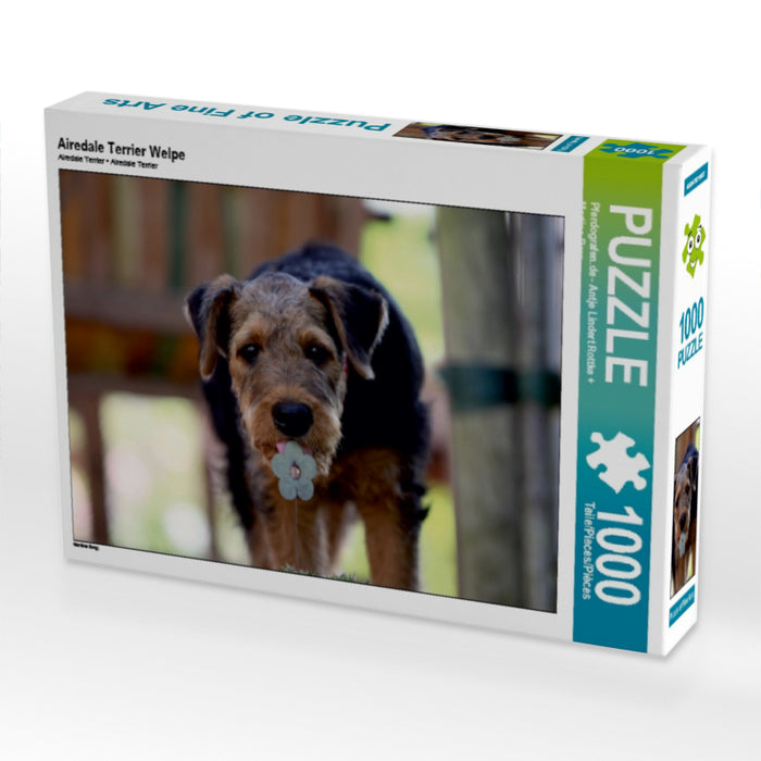 Airedale Terrier Welpe - CALVENDO Foto-Puzzle - calvendoverlag 29.99