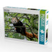 Kleiner Panda - CALVENDO Foto-Puzzle - calvendoverlag 29.99