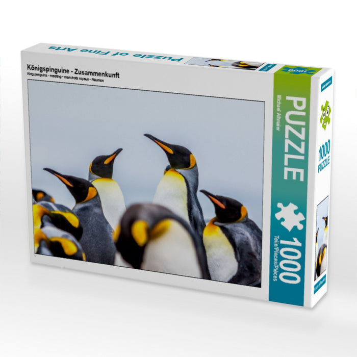 Königspinguine - Zusammenkunft - CALVENDO Foto-Puzzle - calvendoverlag 29.99