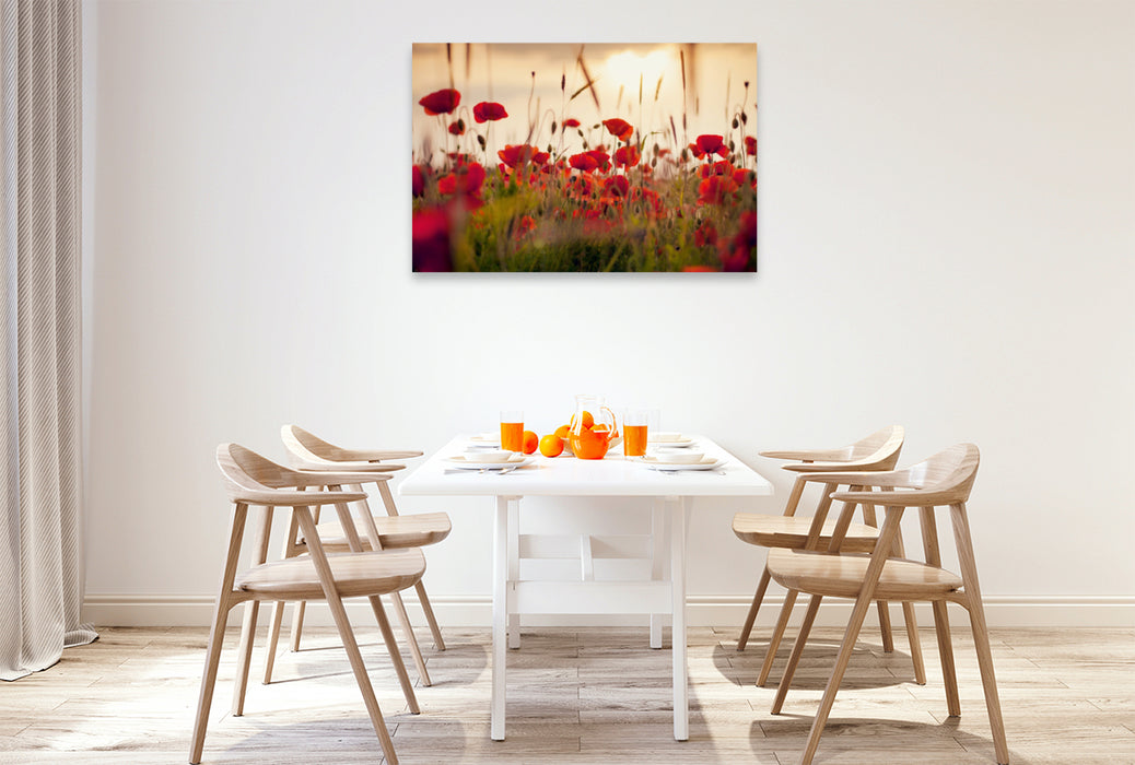 Premium textile canvas Premium textile canvas 120 cm x 80 cm landscape Poppies in the evening light 
